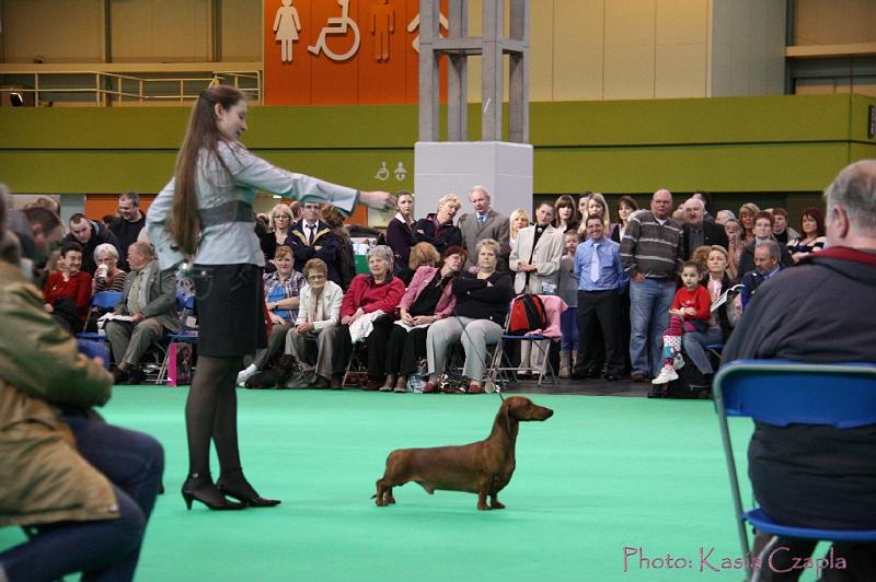 Crufts2011_2 1024.jpg